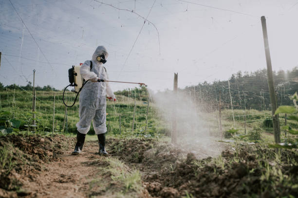 Best Best Pest Control Companies  in Dunlap, IN