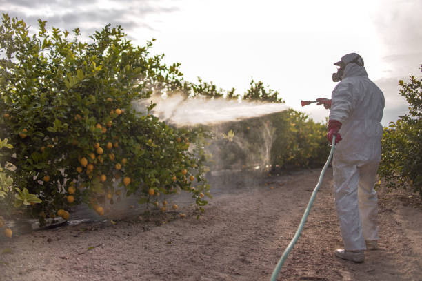 Best Exterminator Services  in Dunlap, IN