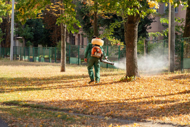 Best Best Pest Control Companies  in Dunlap, IN